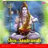 Anuradha Paudwal - Shiv Stotravali
